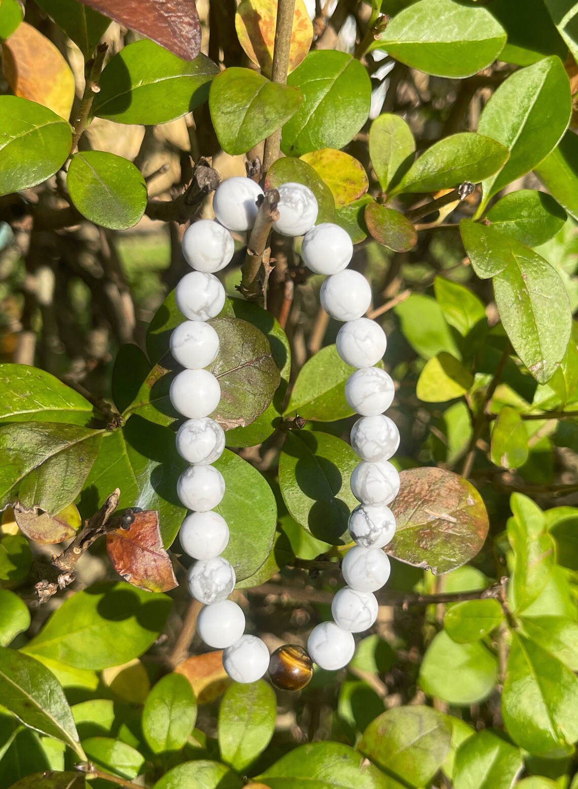 Tiger Eye Howlite Bracelet