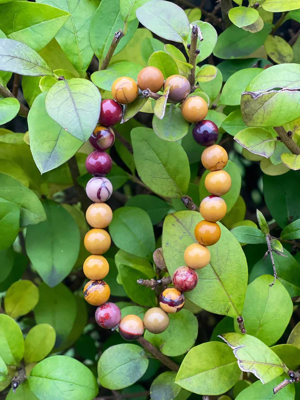 Mookaite Bracelet