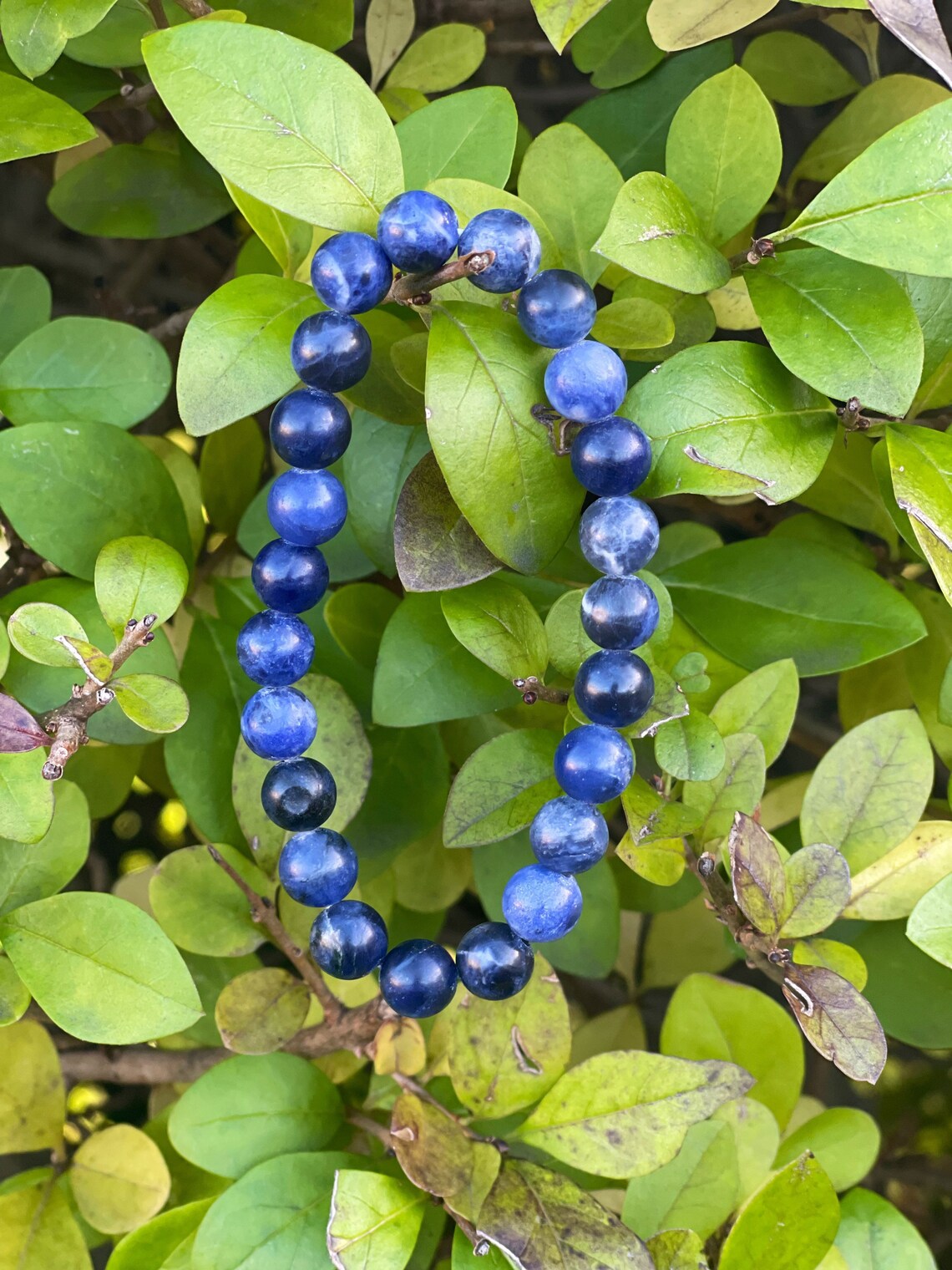 Dark Sodalite Bracelet