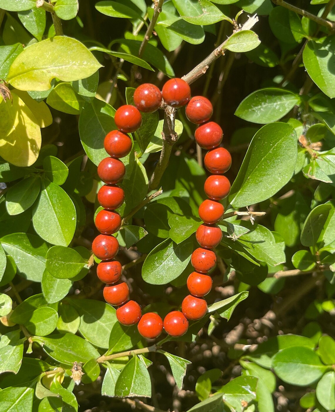 Red Jasper Bracelet