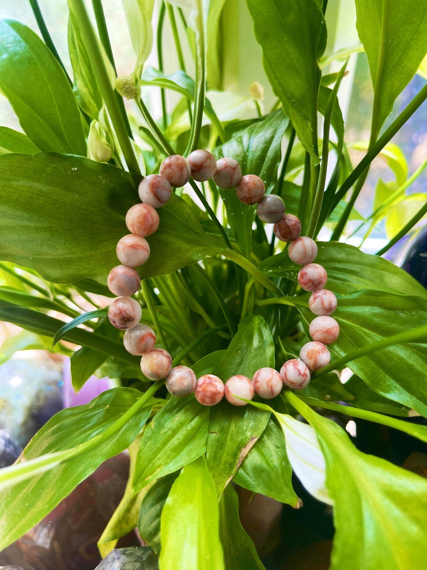 Red Vein Jasper Bracelet, Healing Crystals, Gemstone bracelet, 8mm Beaded Bracelet, Crystal Bracelet, Healing Stones, Protection Bracelet