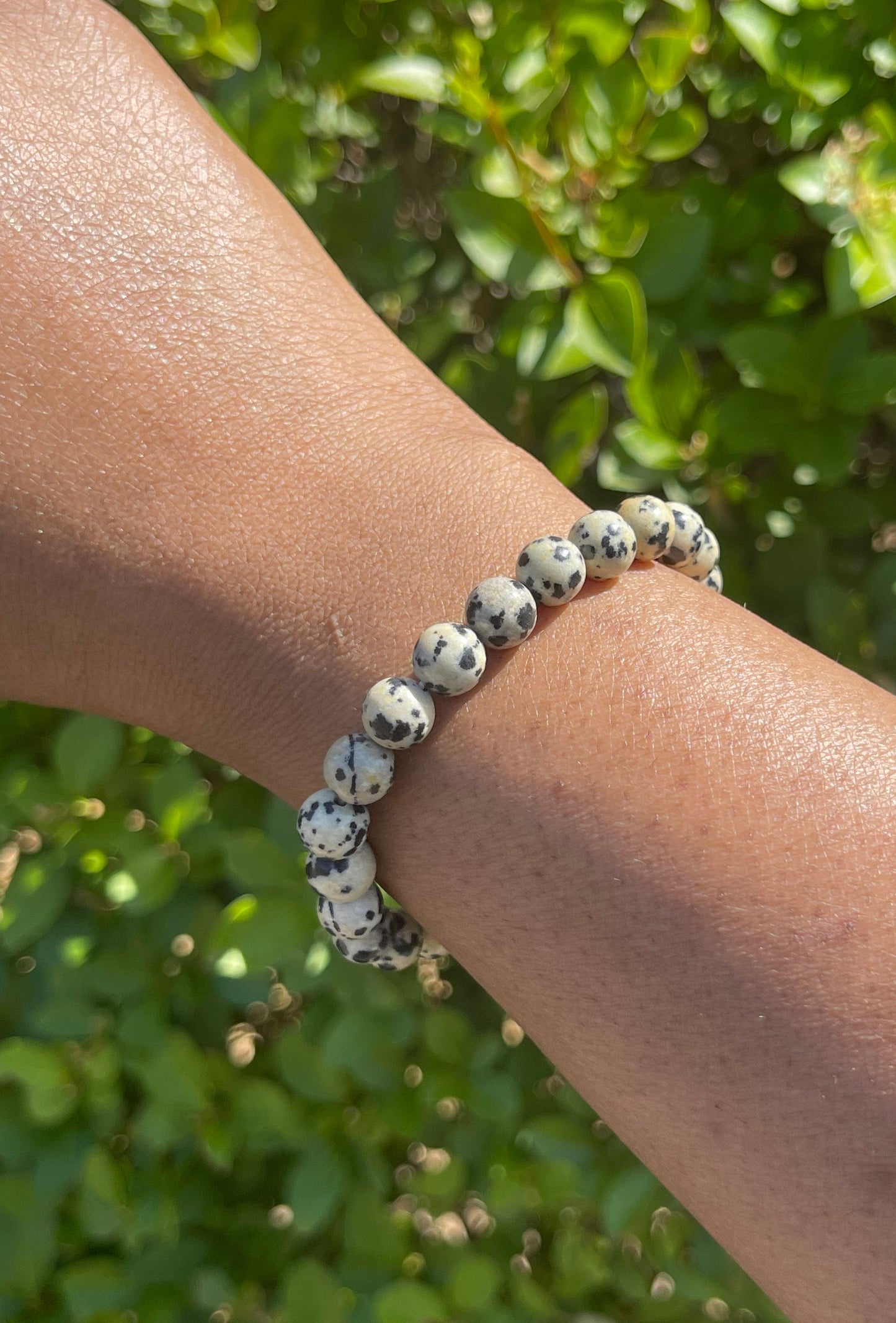 Dalmatian Jasper Bracelet