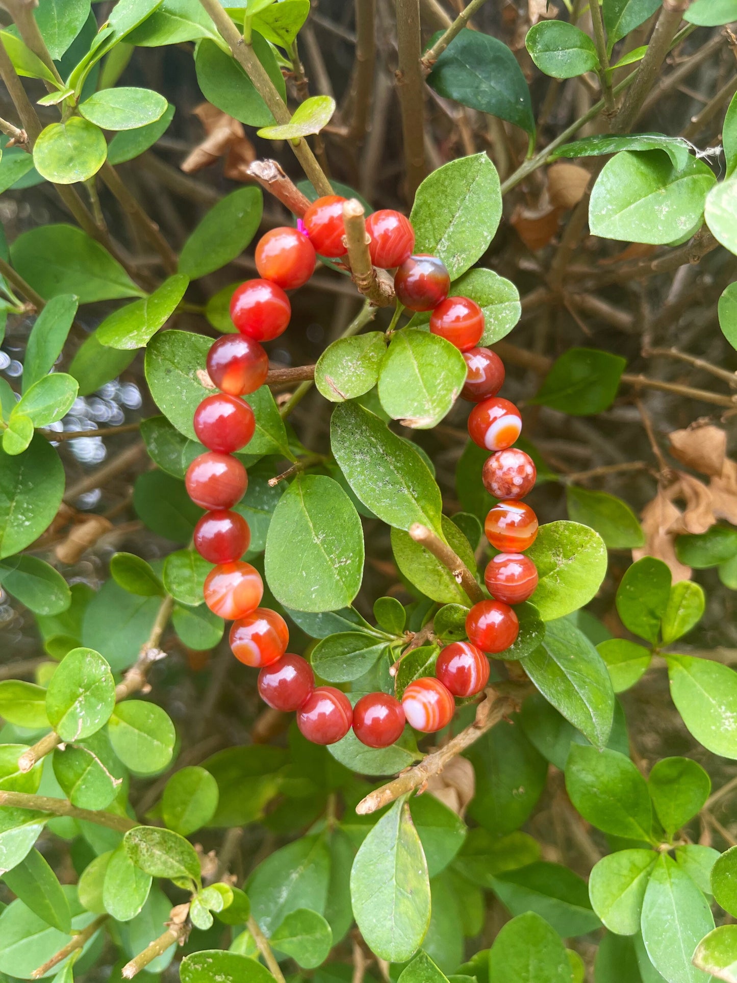 Carnelian Bracelet