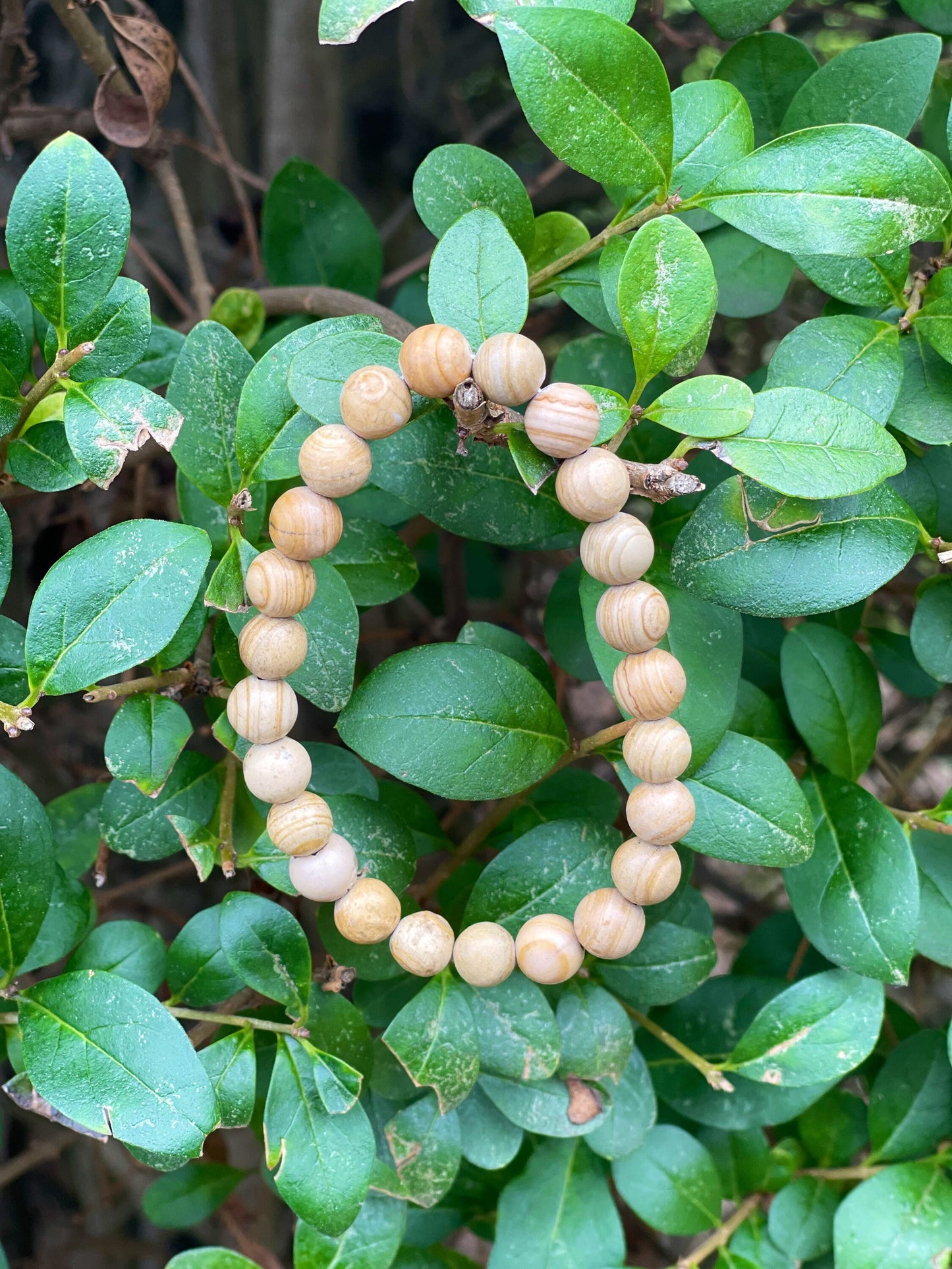 Wood Jasper Bracelet