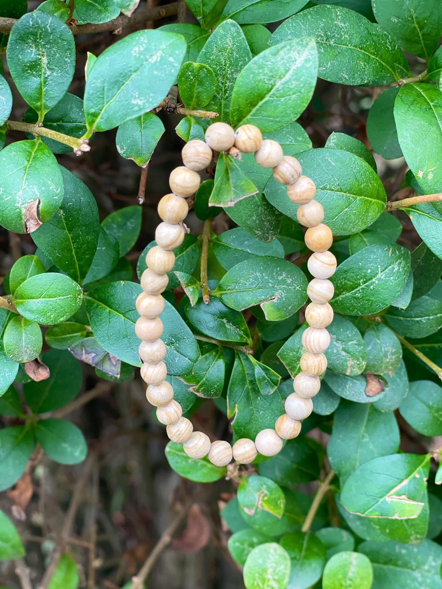 Wood Jasper Bracelet