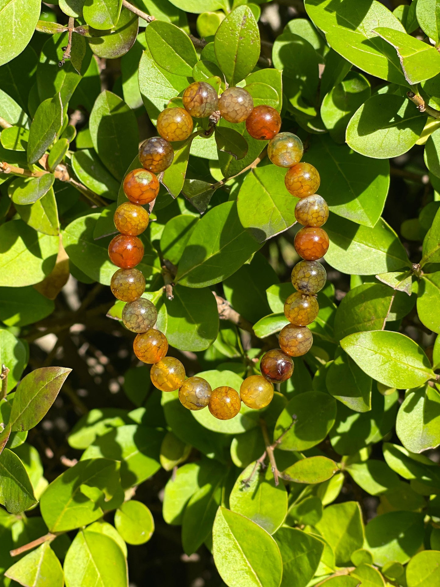 Dragon Vein Agate Bracelet