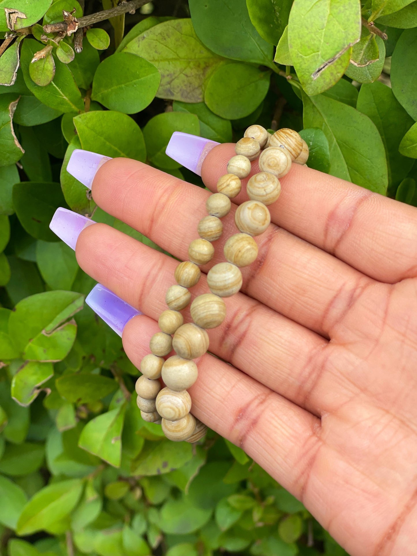 Wood Jasper Bracelet