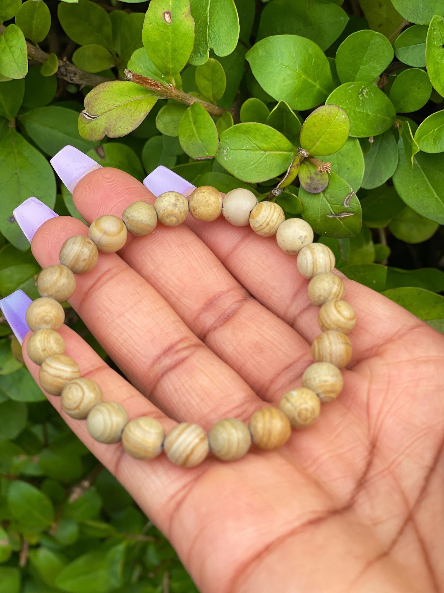 Wood Jasper Bracelet