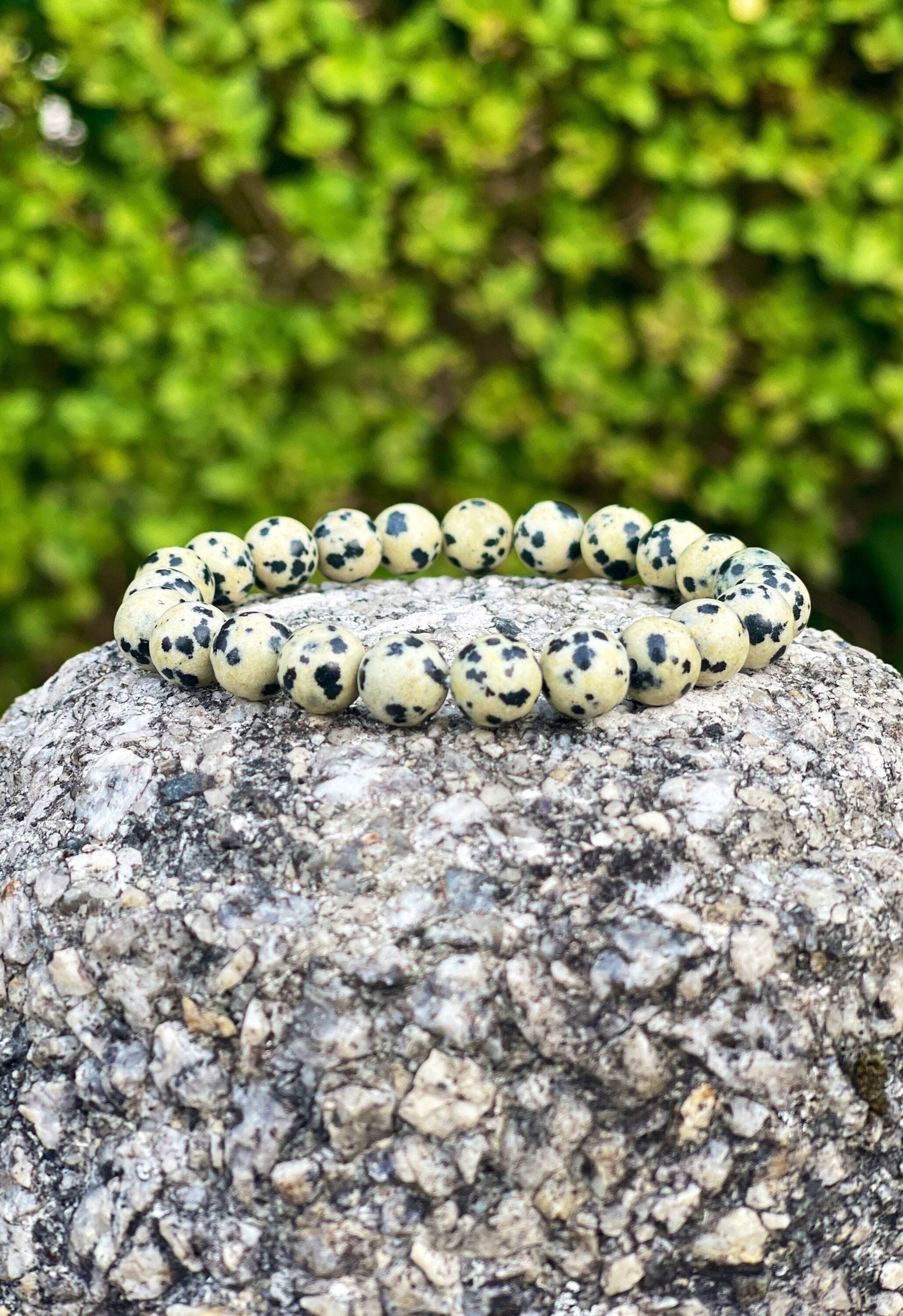 Dalmatian Jasper Bracelet