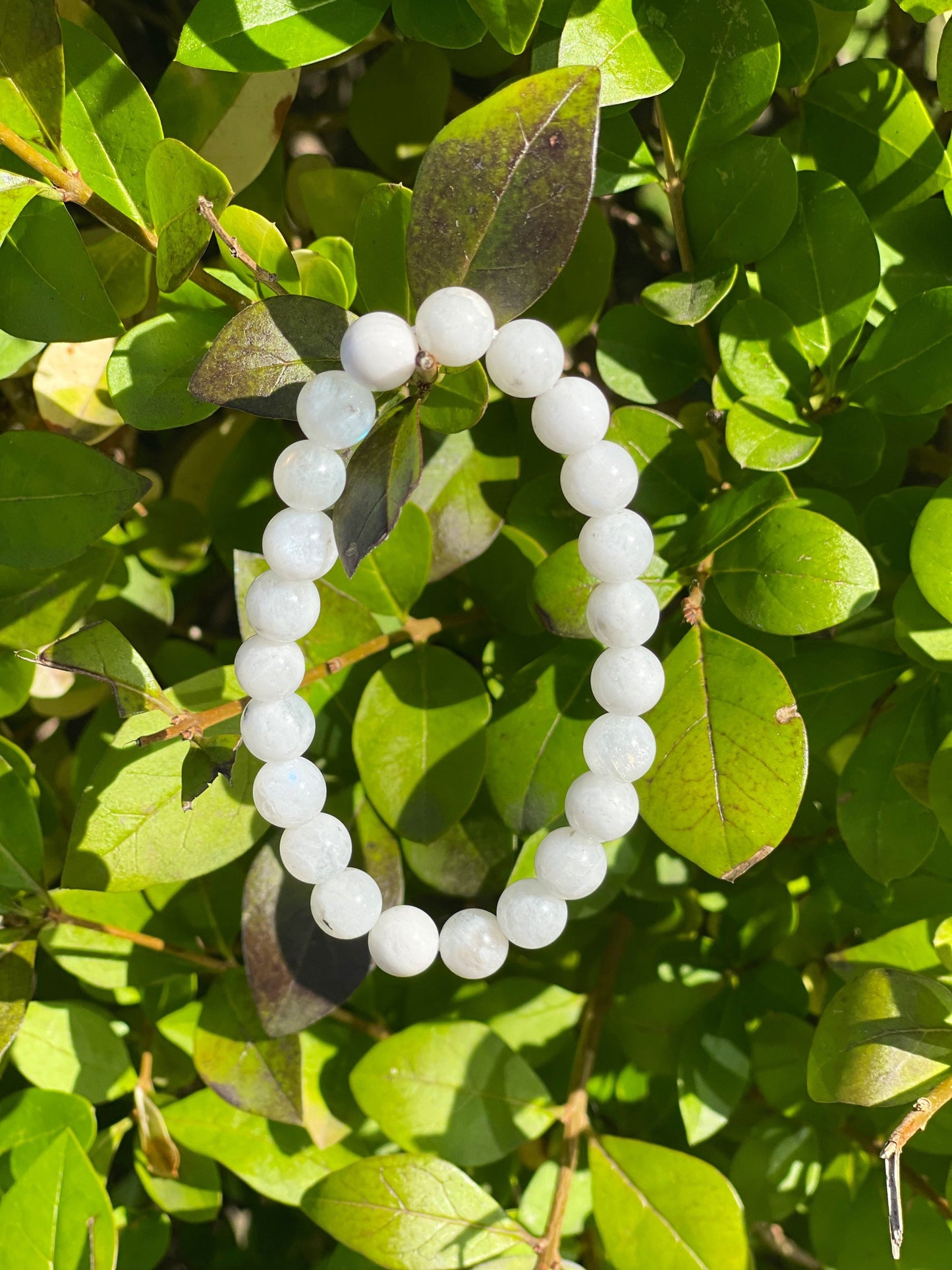 White Rainbow Moonstone Bracelet