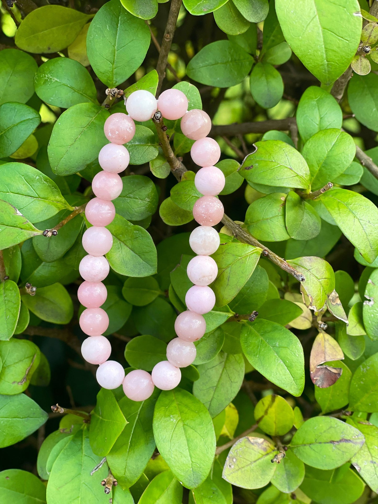 Pink Opal Bracelet, Healing Crystals, Pink Crystal, Gemstone Bracelets, Crystal Jewelry, Natural Beads, Beaded Bracelets, Pink Opal Jewelry