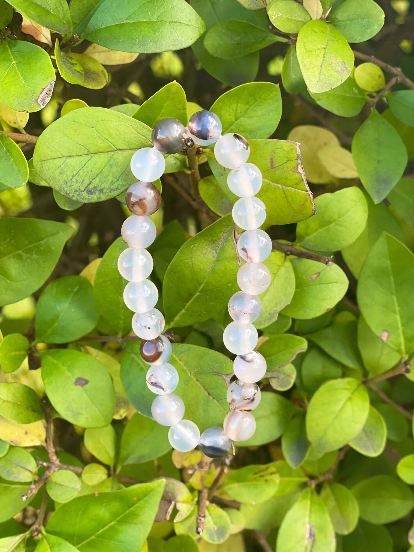 Black Flower Agate Bracelet