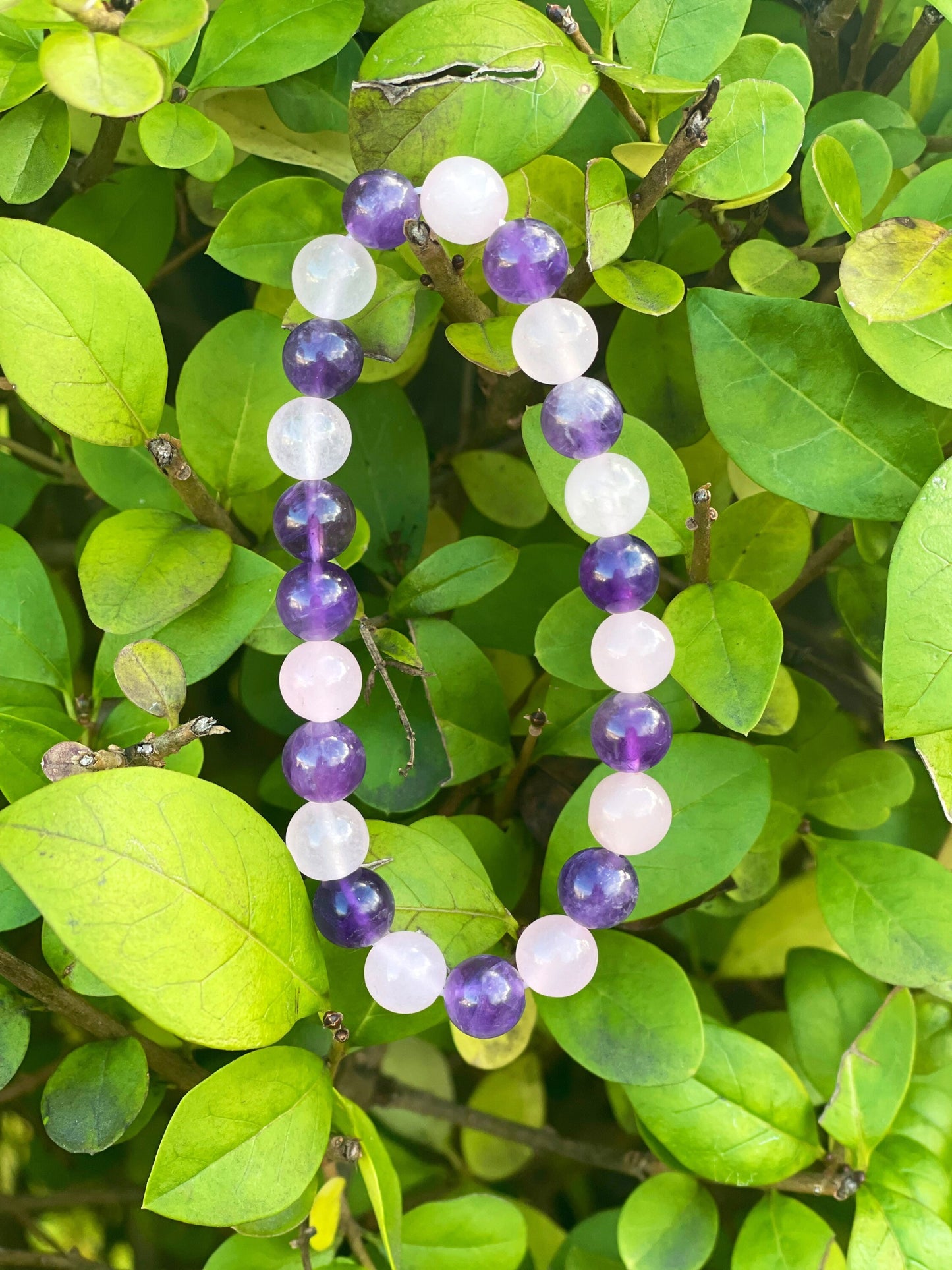 Amethyst Rose Quartz Bracelet