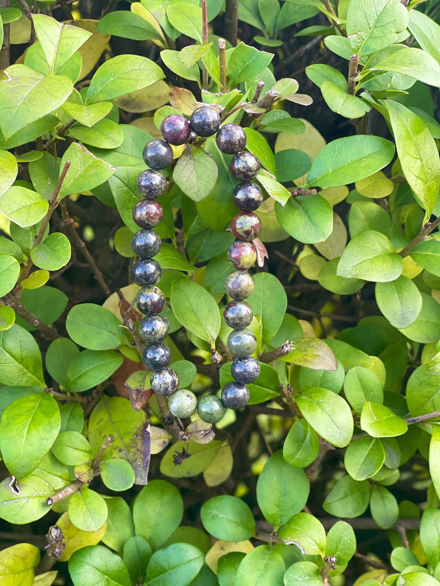 Dragon Blood Jasper Bracelet