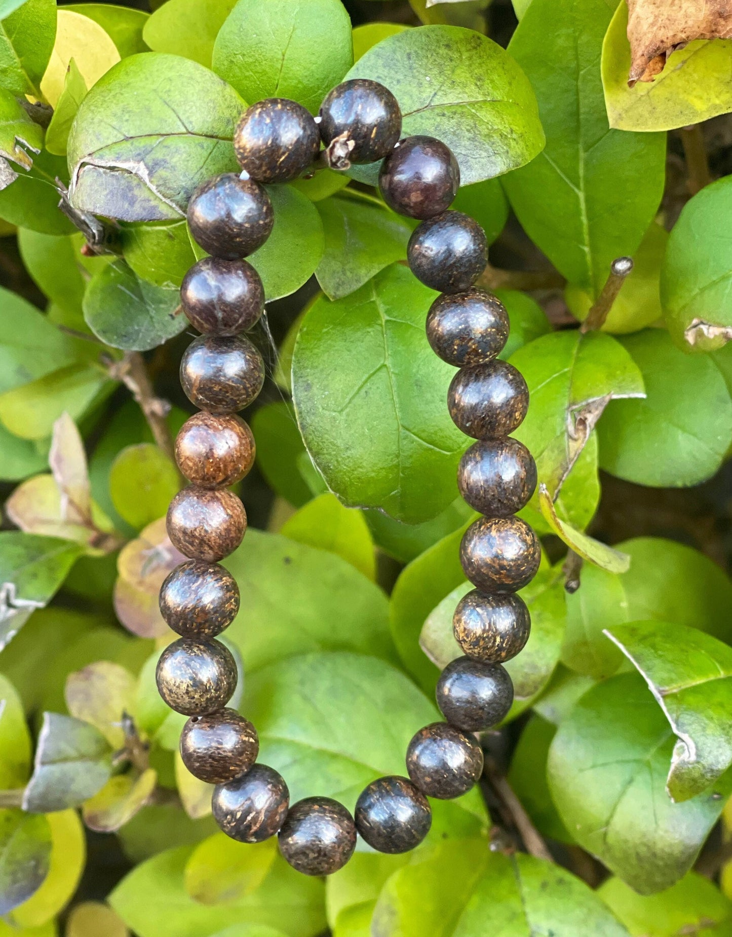 Natural Bronzite Bracelet, Beads Bracelet, Chakra Healing Energy Crystals, Gemstone Bracelet, Crystal Bracelet, Courage, Protection Jewelry