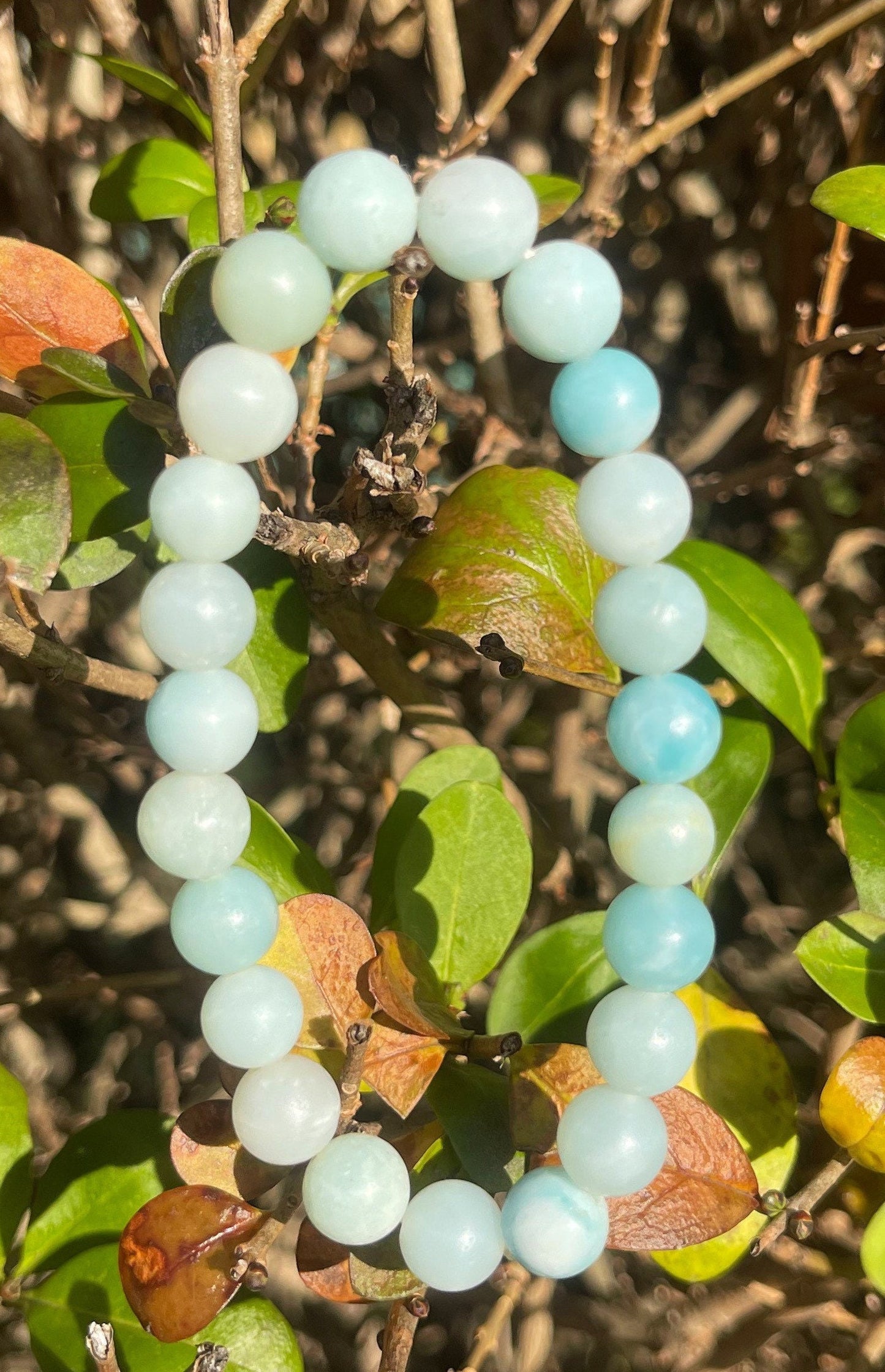 Amazonite Bracelet