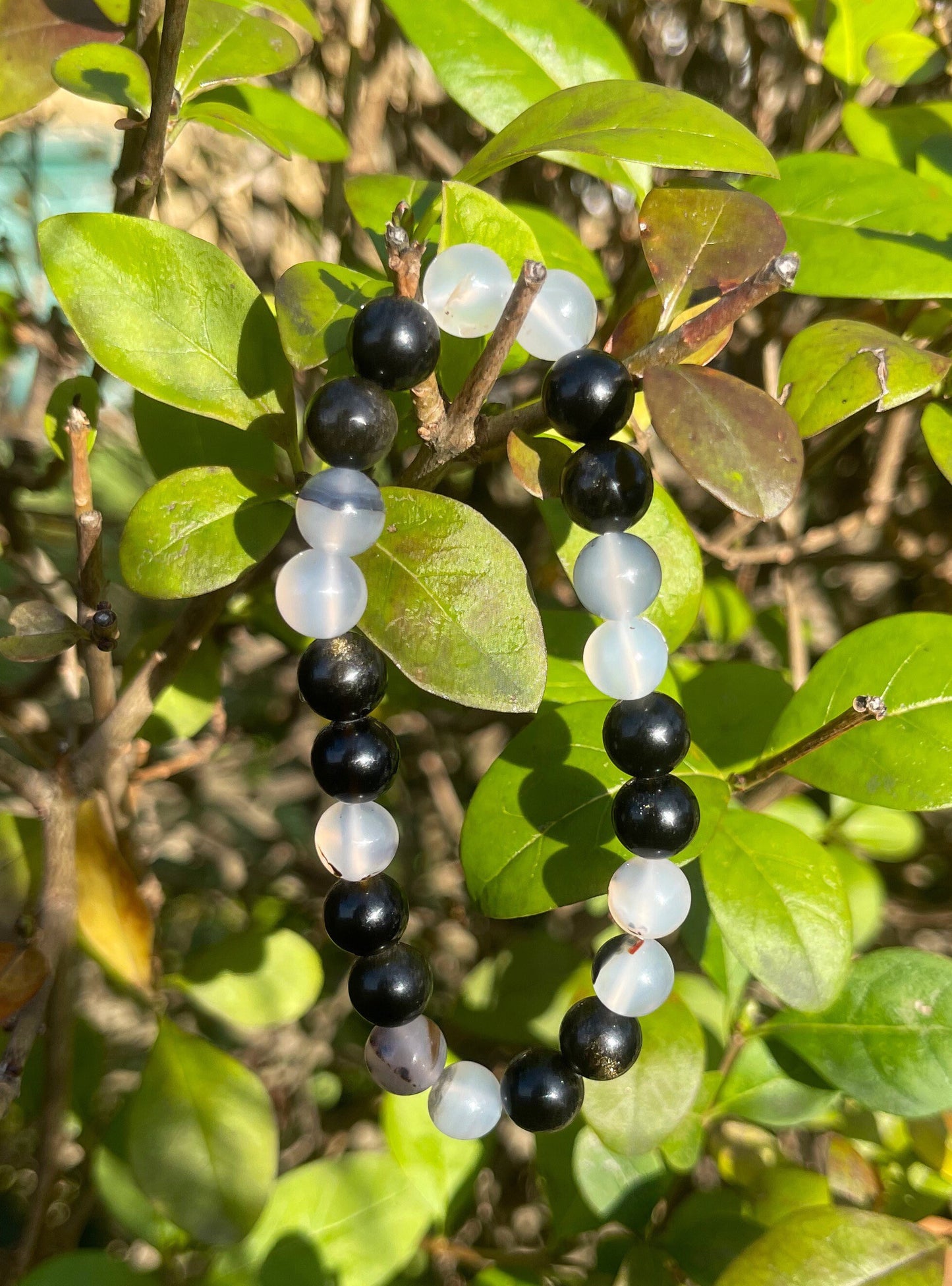 Black Flower Agate with Gold Obsidian Bracelet