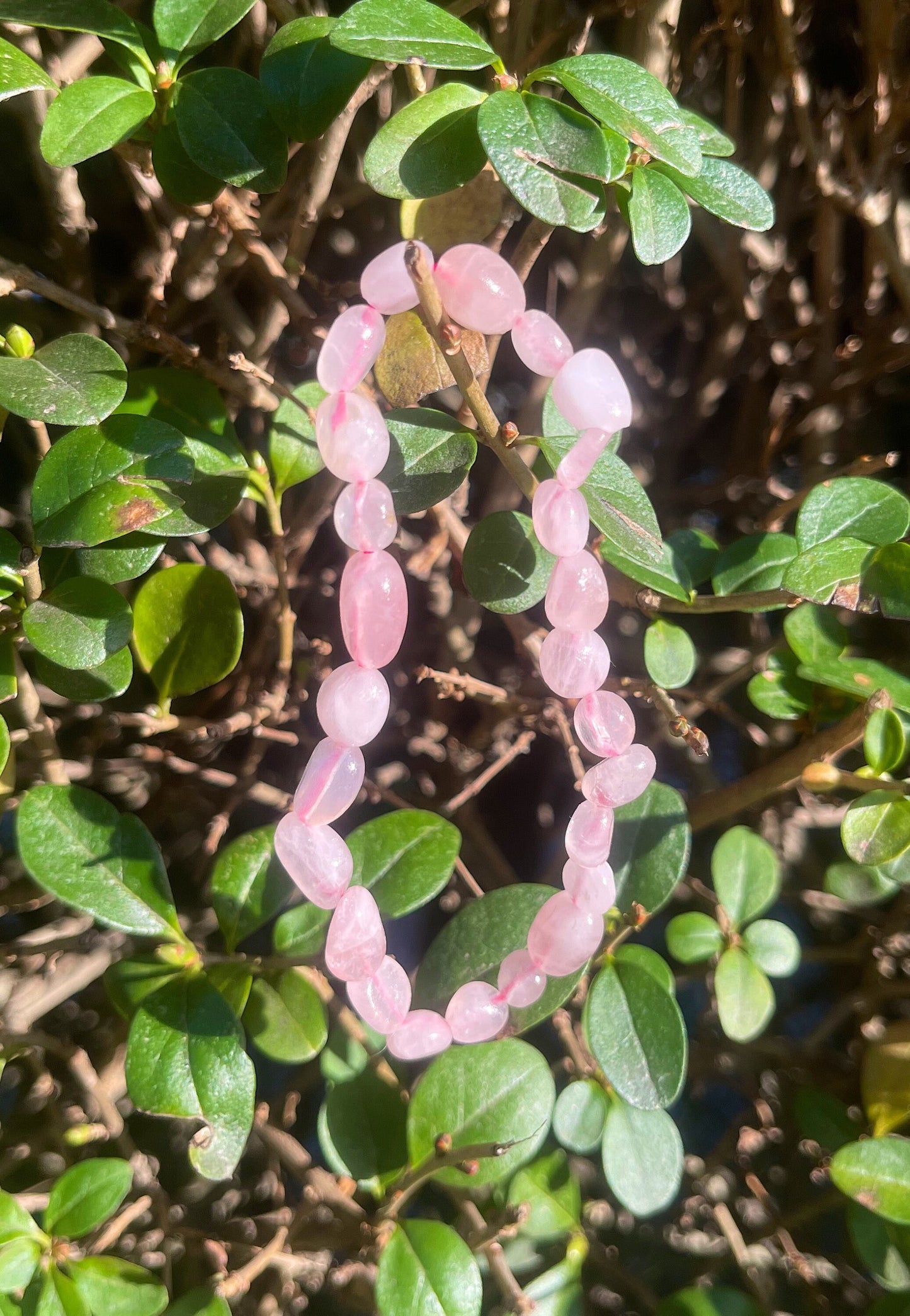 Rose Quartz Bracelet