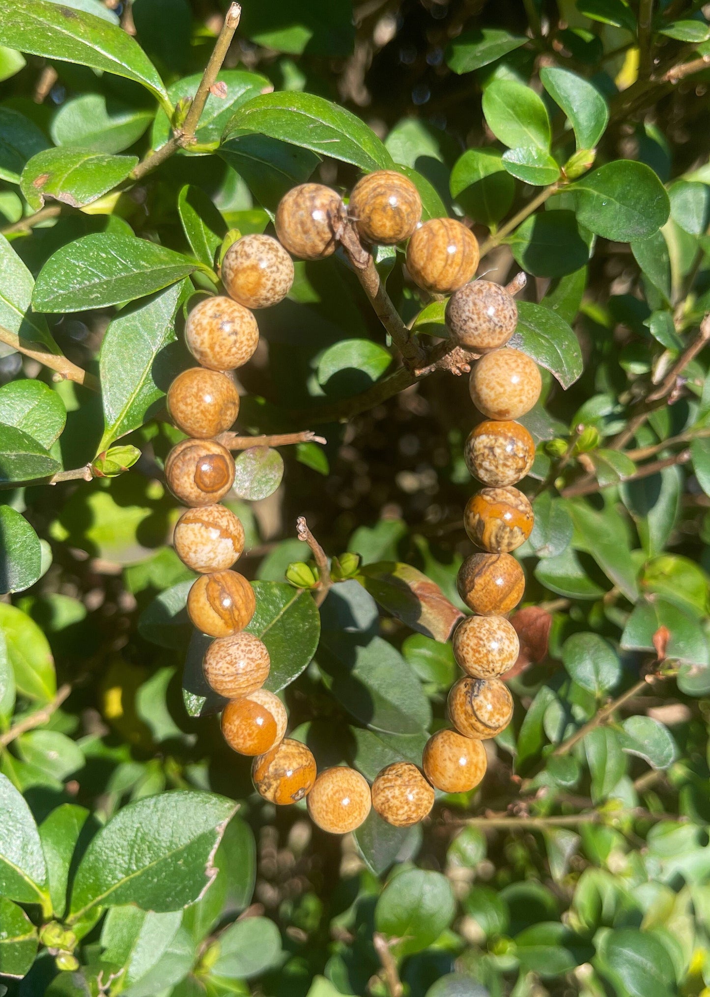 Picture Jasper Bracelet, Healing Crystals, Gemstone Bracelet, Gift for Him, Crystal Bracelets, Chakra Healing Bracelet, Handmade Jewelry