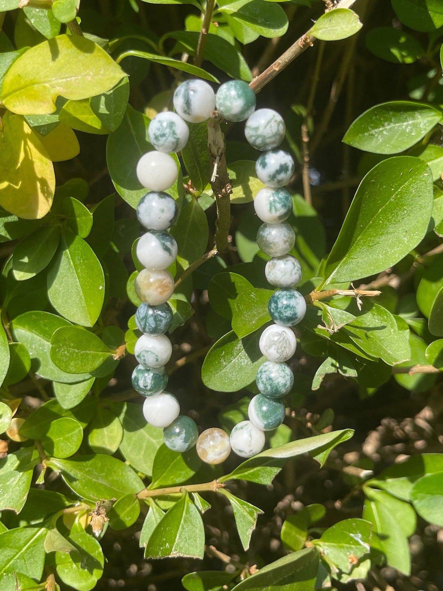 Tree Agate Bracelet