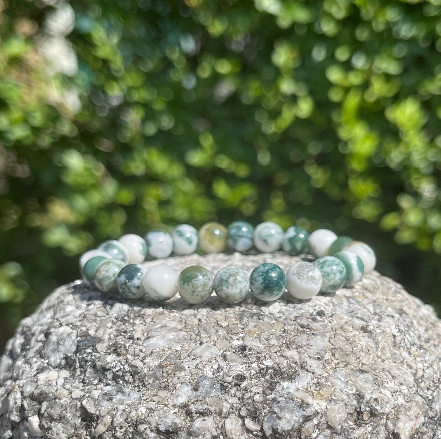 Tree Agate Bracelet