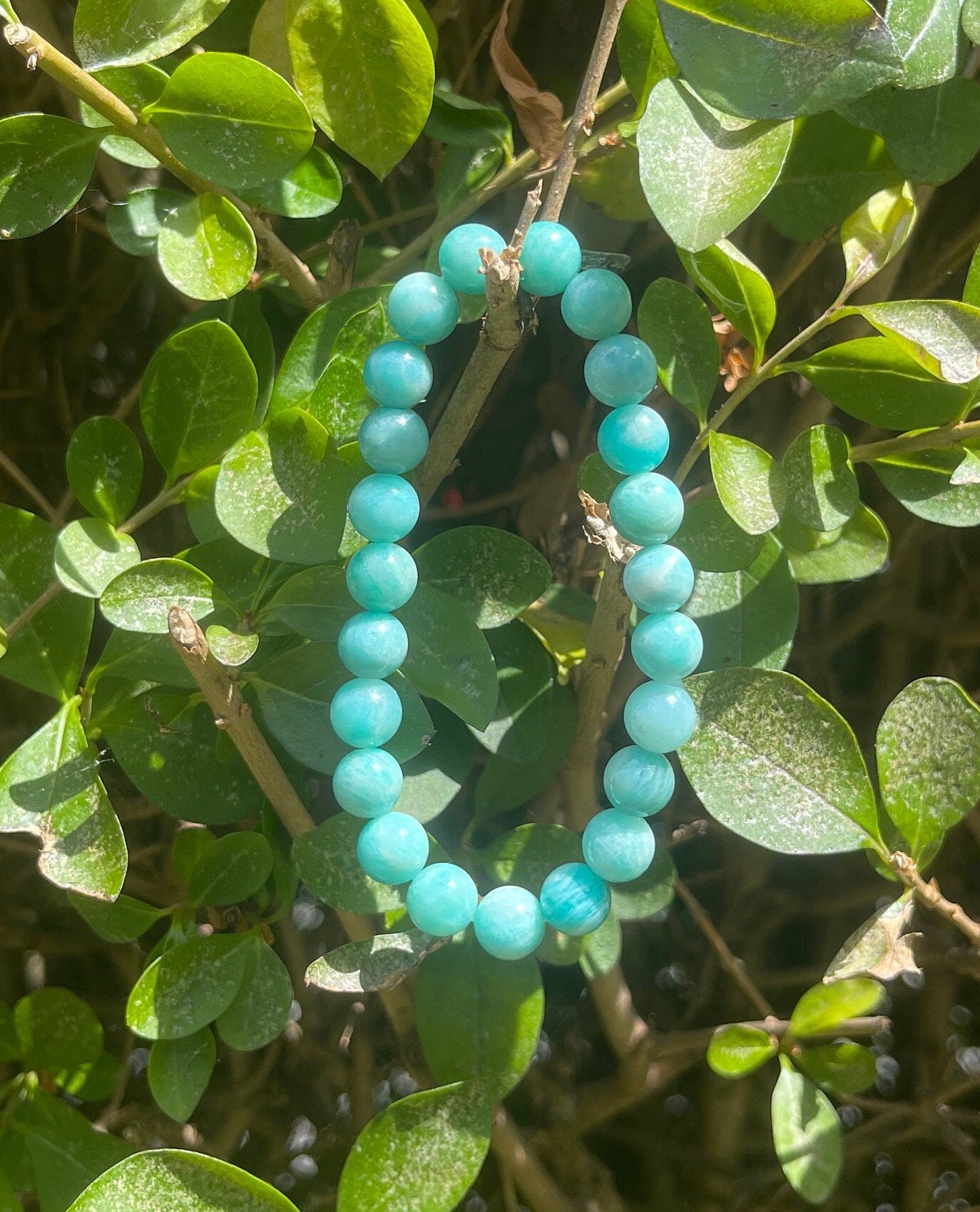 Rare Amazonite Bracelet