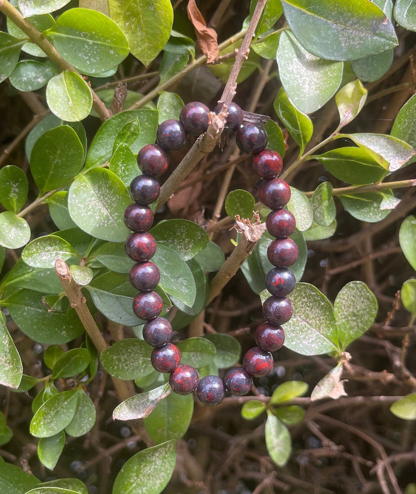 Bloodstone Bracelet