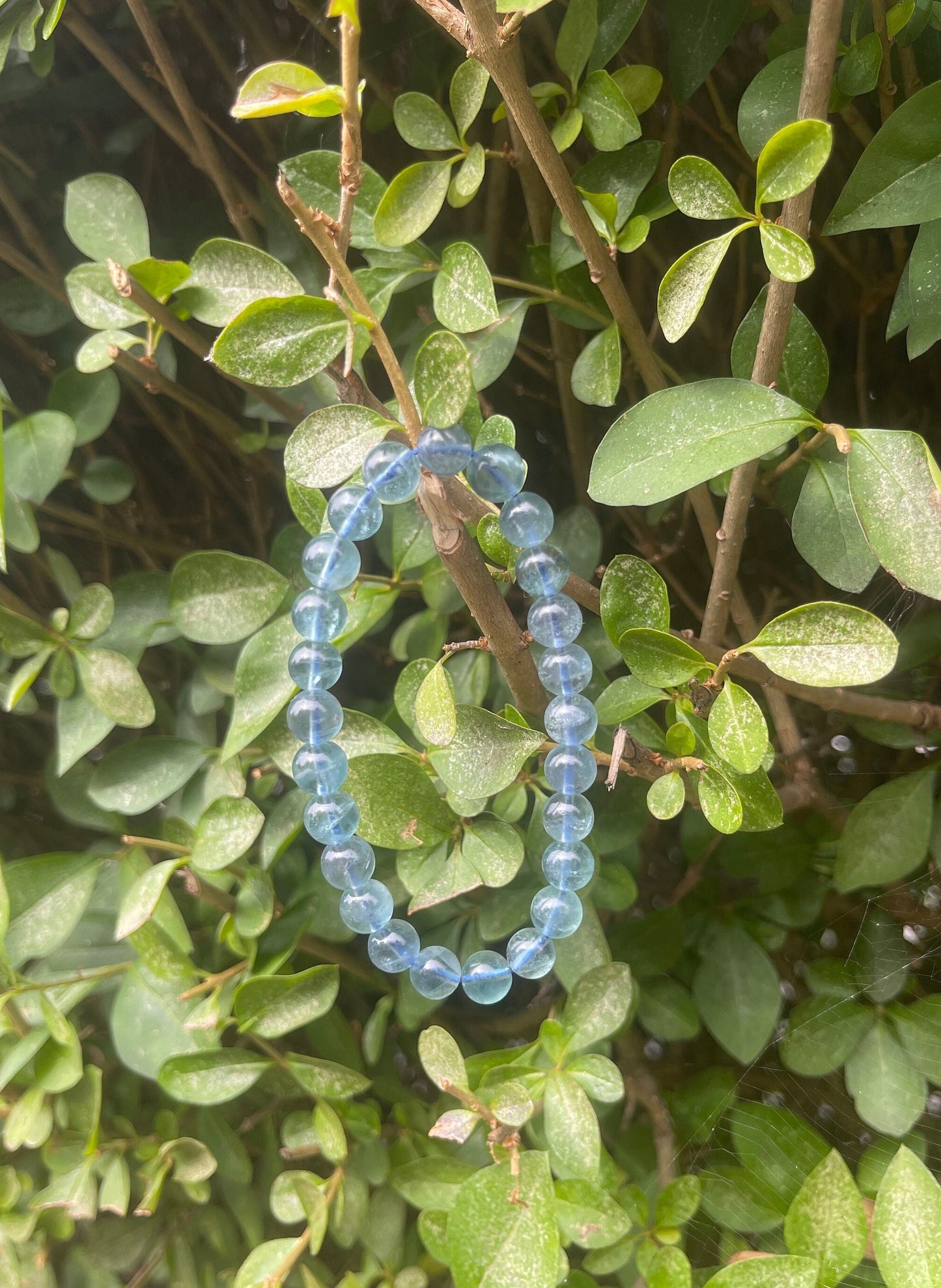 Blue Fluorite Bracelet