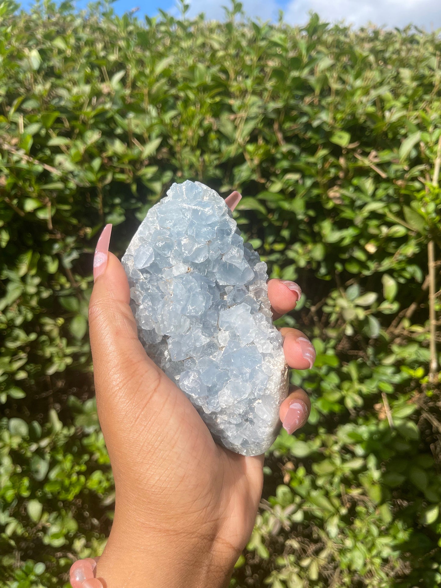 Celestite Geode