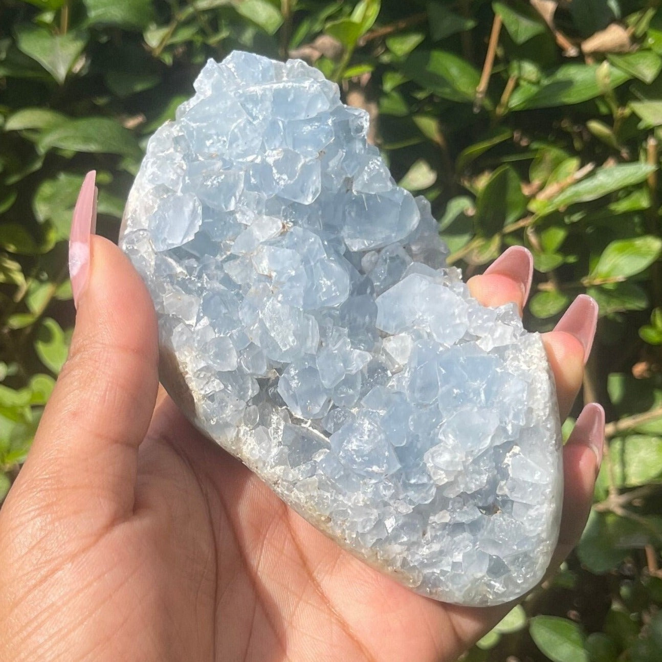 Celestite Geode