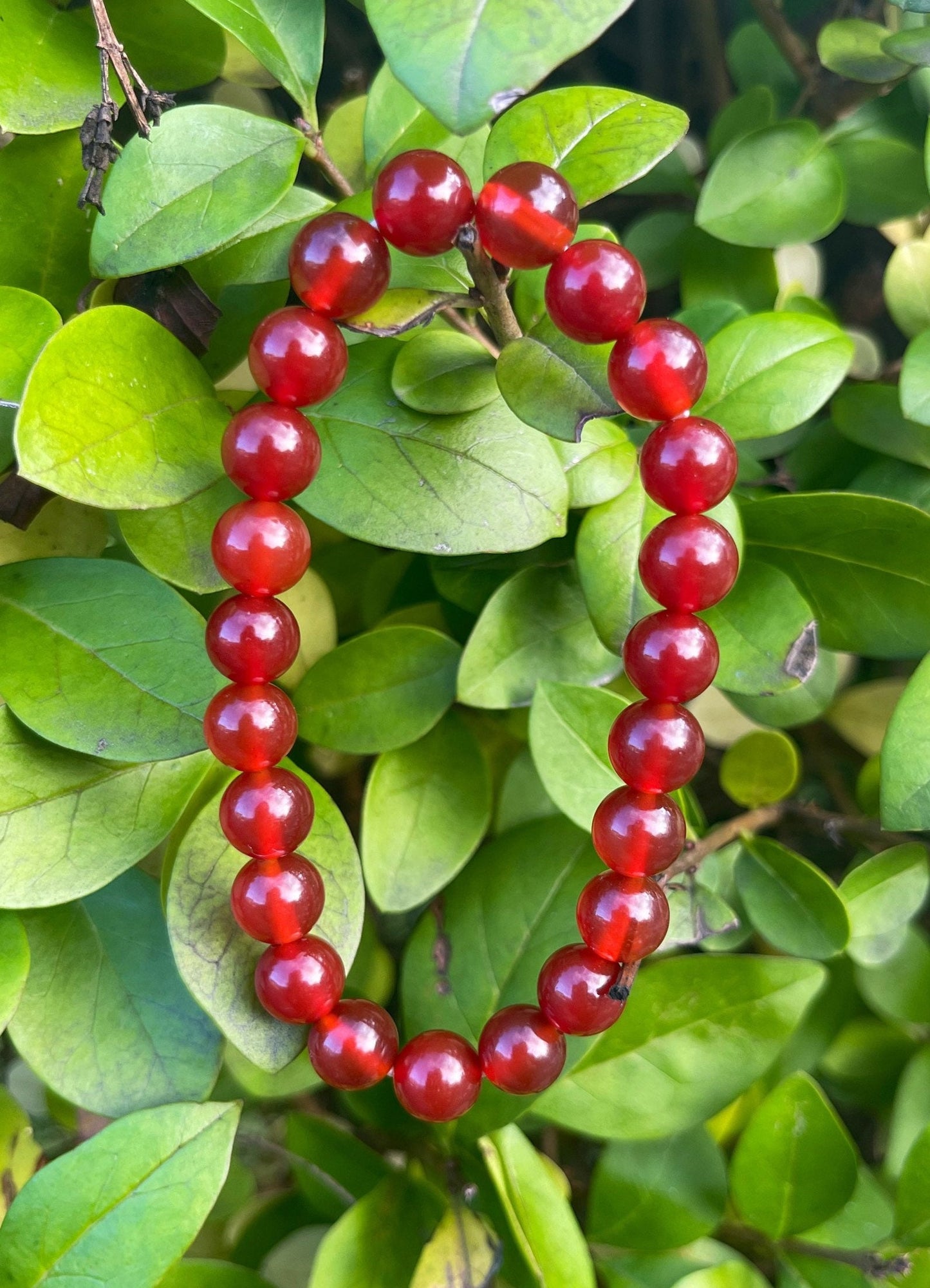 Dark Red Carnelian Bracelet