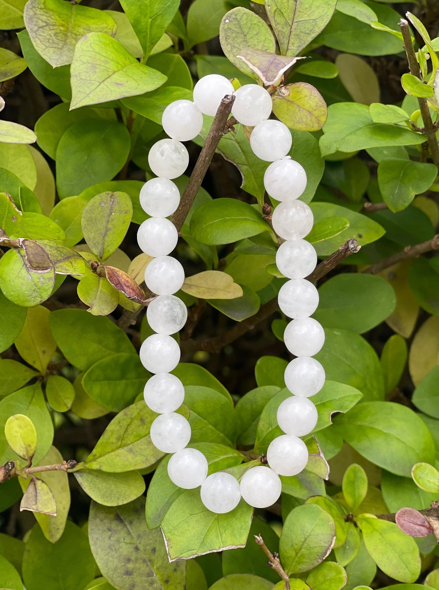 White Jade Bracelet